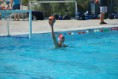 /album/pallanuoto-trieste-vs-dimeglio-lavagna90-/dsc-0013-jpg/