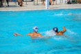 /album/pallanuoto-trieste-vs-dimeglio-lavagna90-/dsc-0014-jpg/