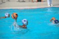 /album/pallanuoto-trieste-vs-dimeglio-lavagna90-/dsc-0026-jpg/