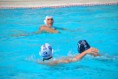 /album/pallanuoto-trieste-vs-dimeglio-lavagna90-/dsc-0027-jpg/