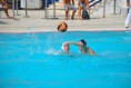/album/pallanuoto-trieste-vs-dimeglio-lavagna90-/dsc-0060-jpg/