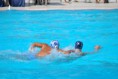 /album/pallanuoto-trieste-vs-dimeglio-lavagna90-/dsc-0064-jpg/