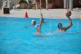 /album/pallanuoto-trieste-vs-dimeglio-lavagna90-/dsc-0065-jpg/