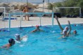 /album/pallanuoto-trieste-vs-dimeglio-lavagna90-/dsc-0068-jpg/