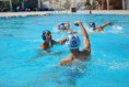 /album/pallanuoto-trieste-vs-dimeglio-lavagna90-/dsc-0123-jpg/