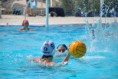 /album/pallanuoto-trieste-vs-dimeglio-lavagna90-/dsc-0127-jpg/
