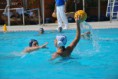 /album/pallanuoto-trieste-vs-dimeglio-lavagna90-/dsc-0133-jpg/