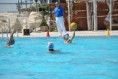 /album/pallanuoto-trieste-vs-dimeglio-lavagna90-/dsc-0136-jpg/
